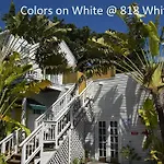 Colors On White