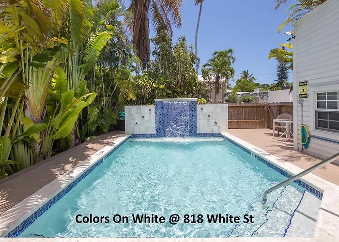Colors On White