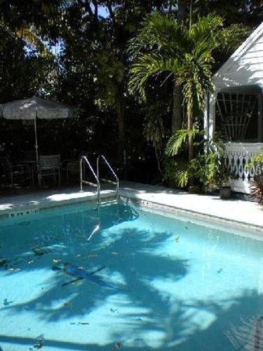 Blue Parrot Key West