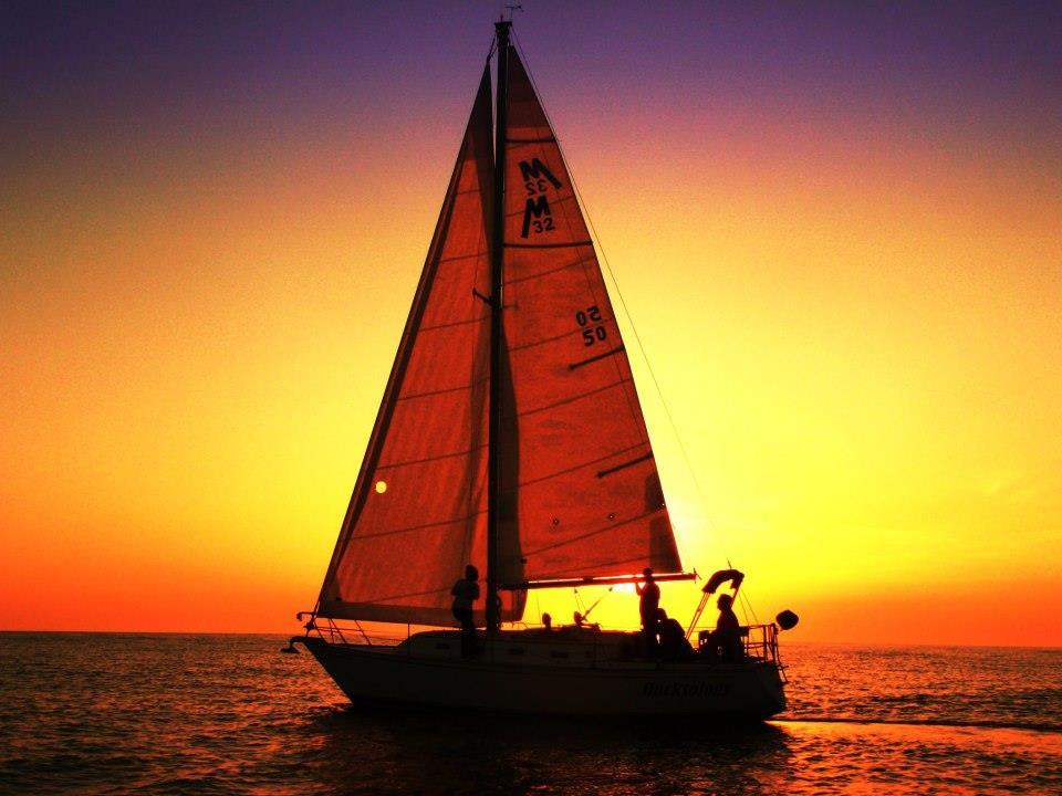 Western Hibiscus 3* Key West