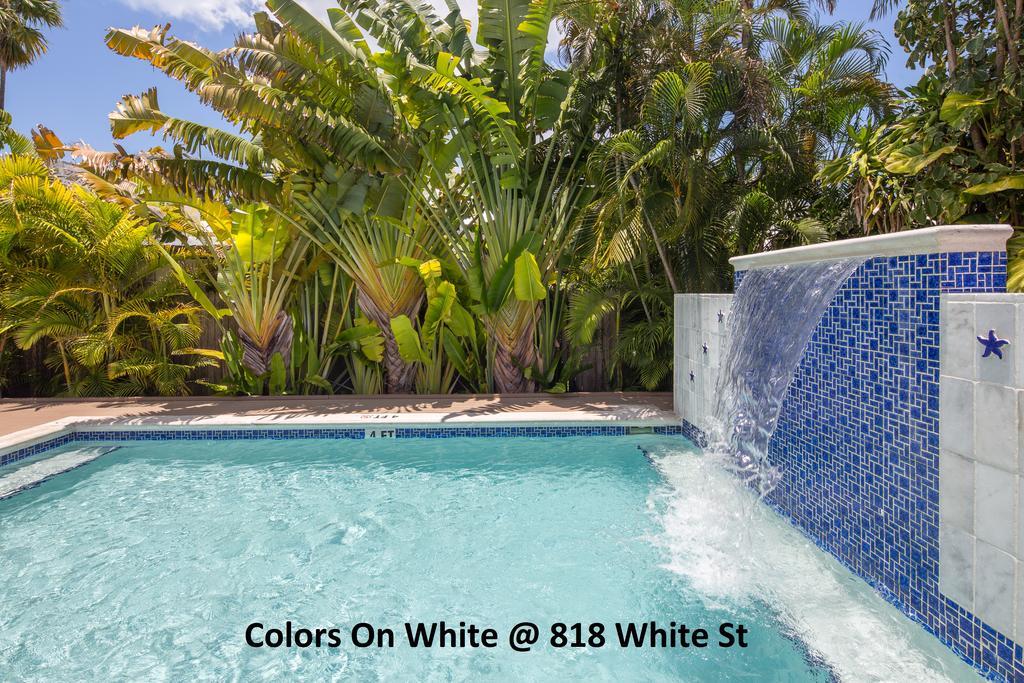 Colors On White