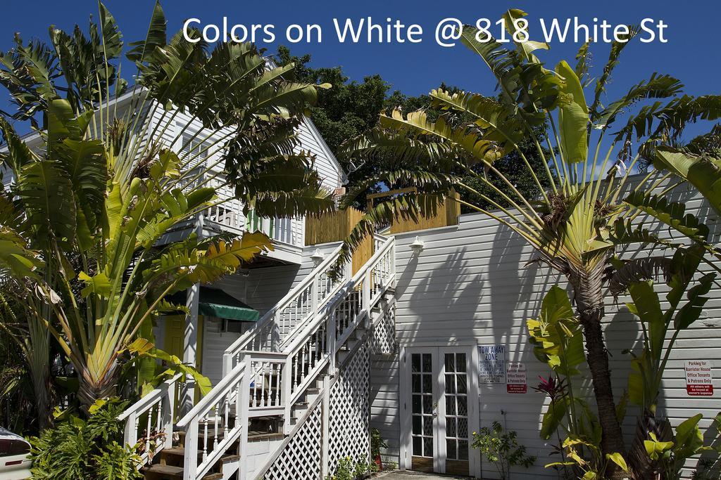 Apartment Colors On White