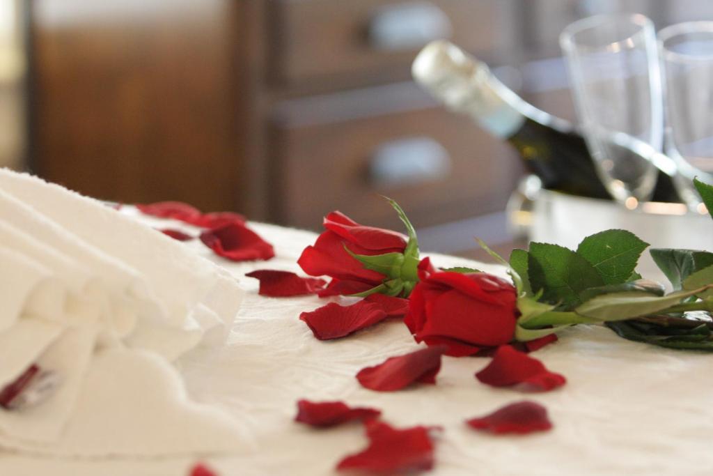 Avalon Bed And Breakfast (Adults Only) 3*
