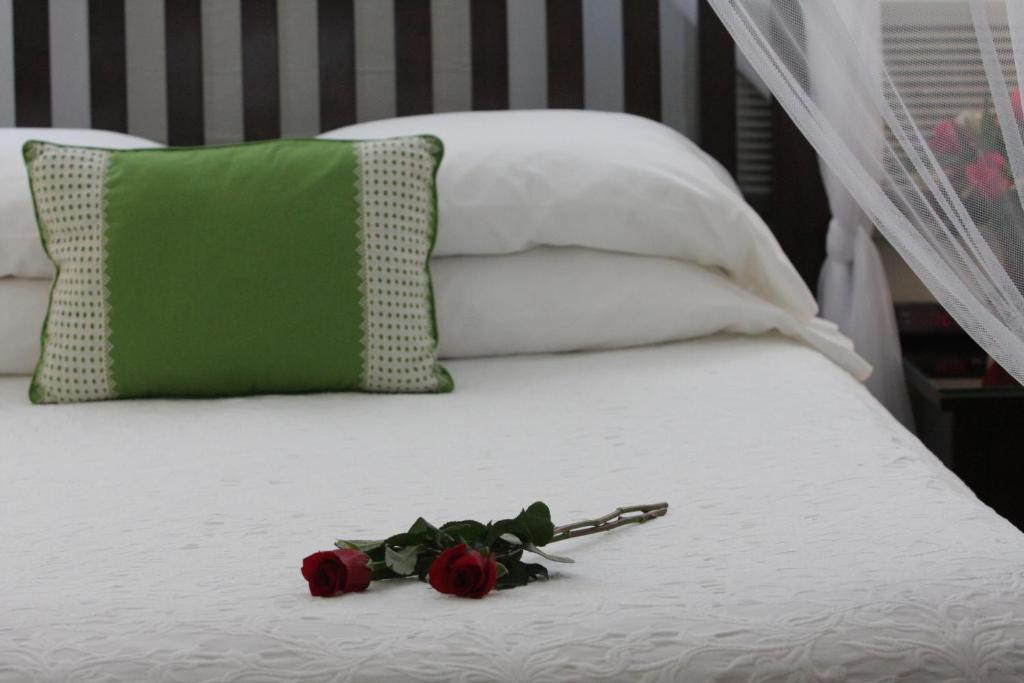 Bed & Breakfast Avalon Bed And Breakfast (Adults Only) Key West