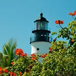 Key Lime Pie By Avantstay Ideal Location W Splash Pool Out Door Dining Month Long Stays Only