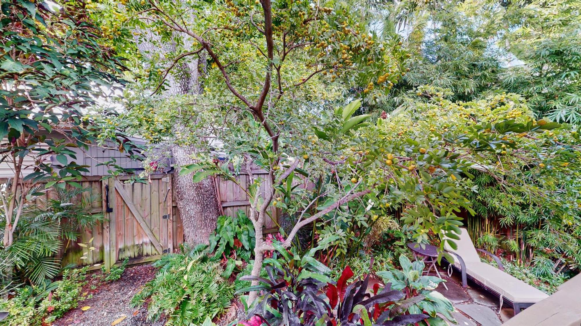 Gumbo Limbo Holiday home Key West