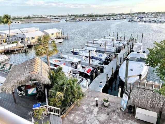 Holiday home Dominica - New Waterfront Pool Dock 2 Bedroom 2 Bathroom Key West
