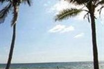 Alexander Palms Court 2* Key West