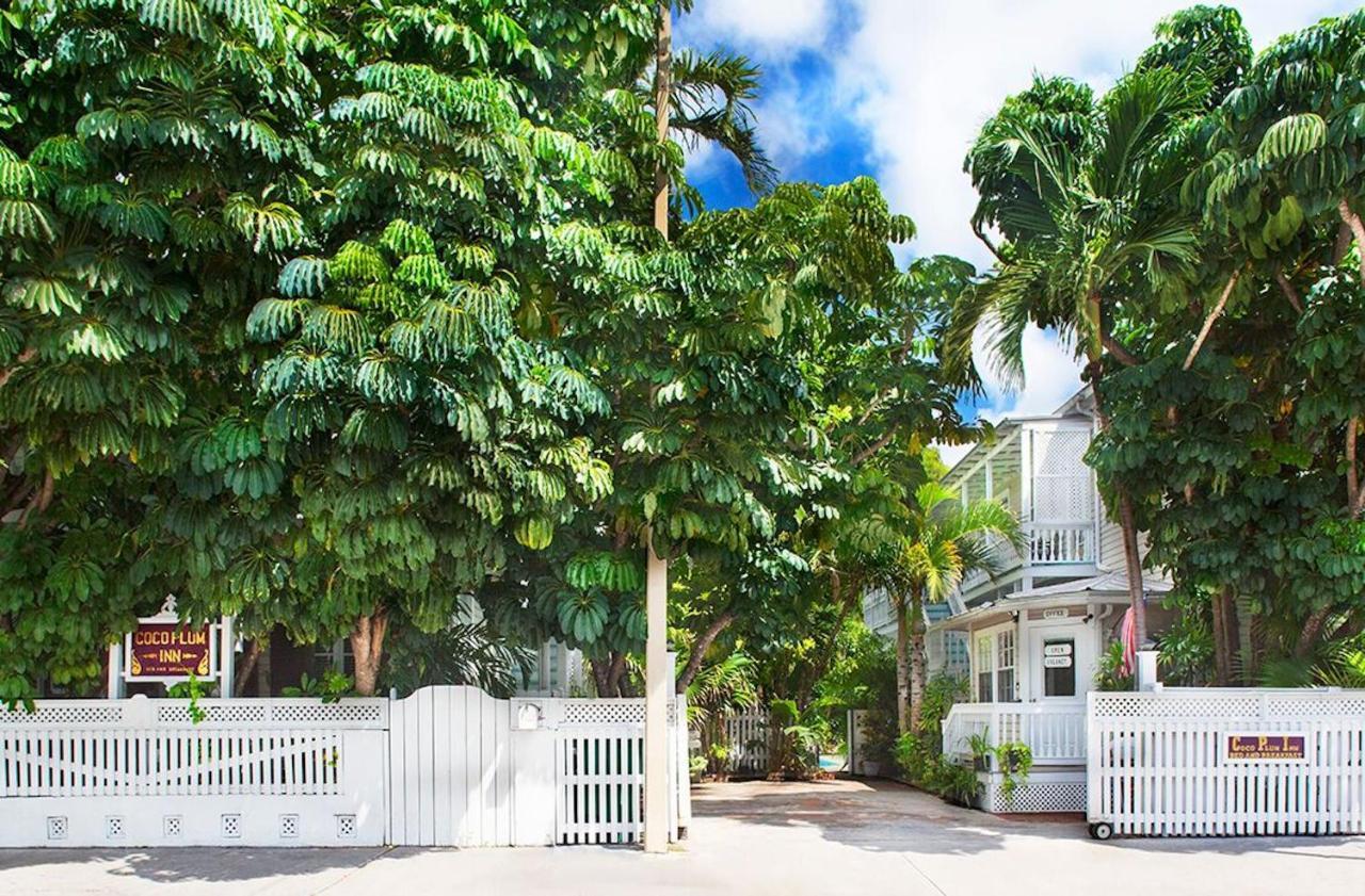 Coco Plum Bed & Breakfast