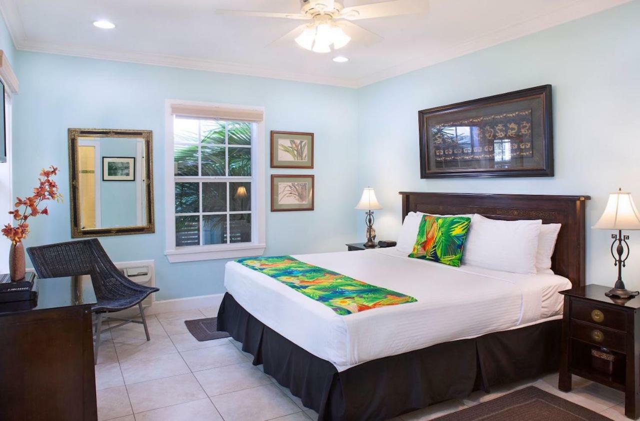 Travelers Palm