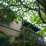 Suite Dreams Inn By The Beach