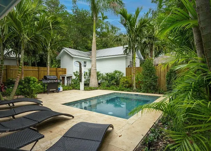 Coconut Palm
