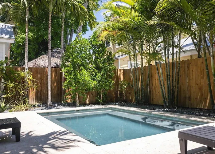 Coconut Palm
