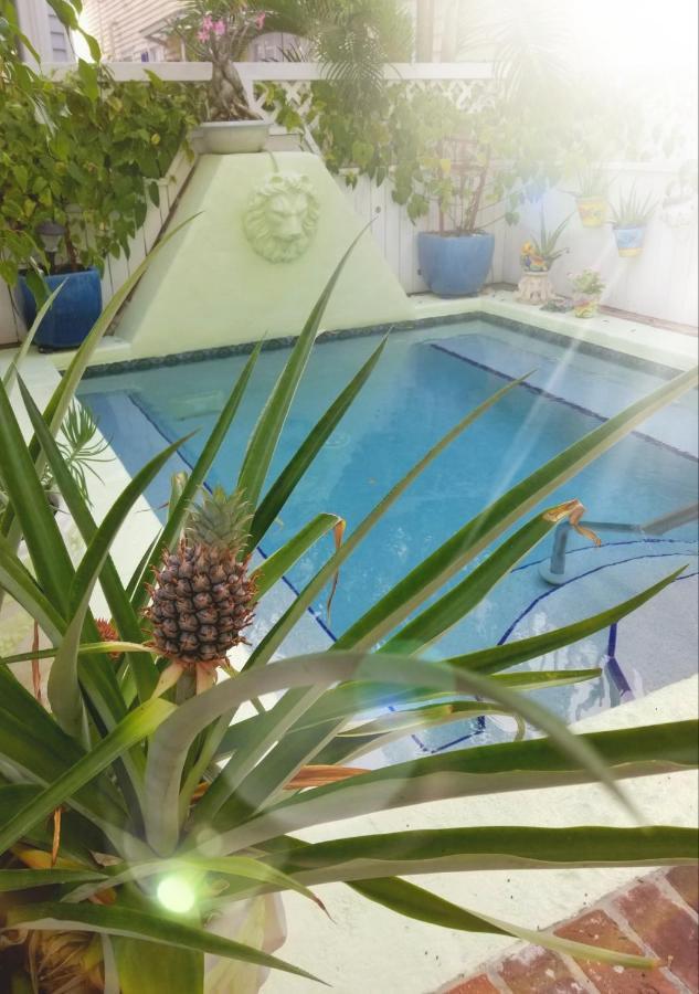 The Artist House 3* Key West
