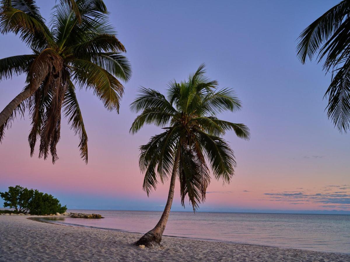 Hotel Margaritaville House 3*