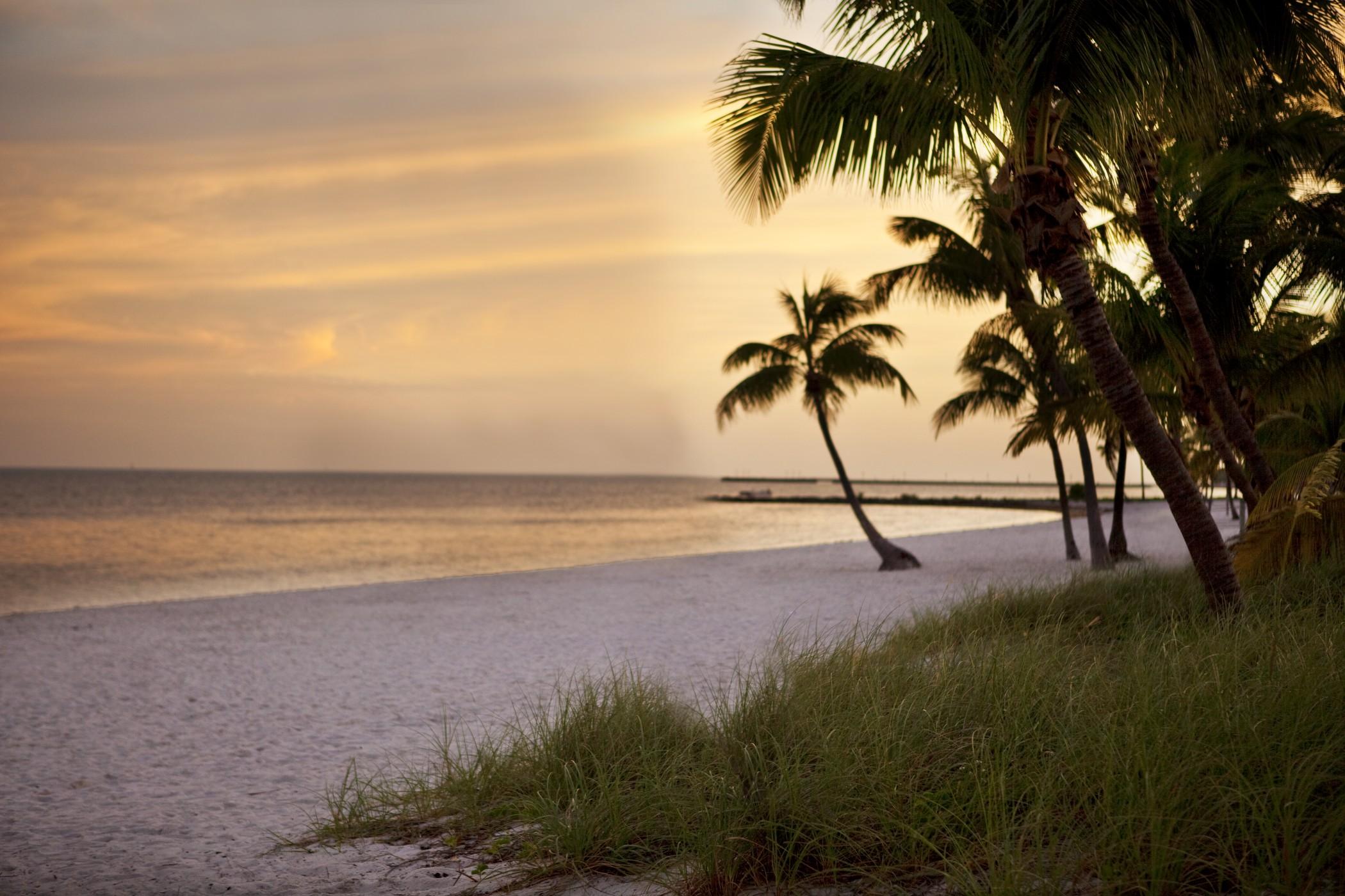 Hotel Margaritaville House 3*
