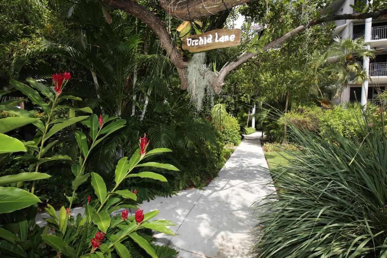 Hemingways Atlantic Retreat Apartment *