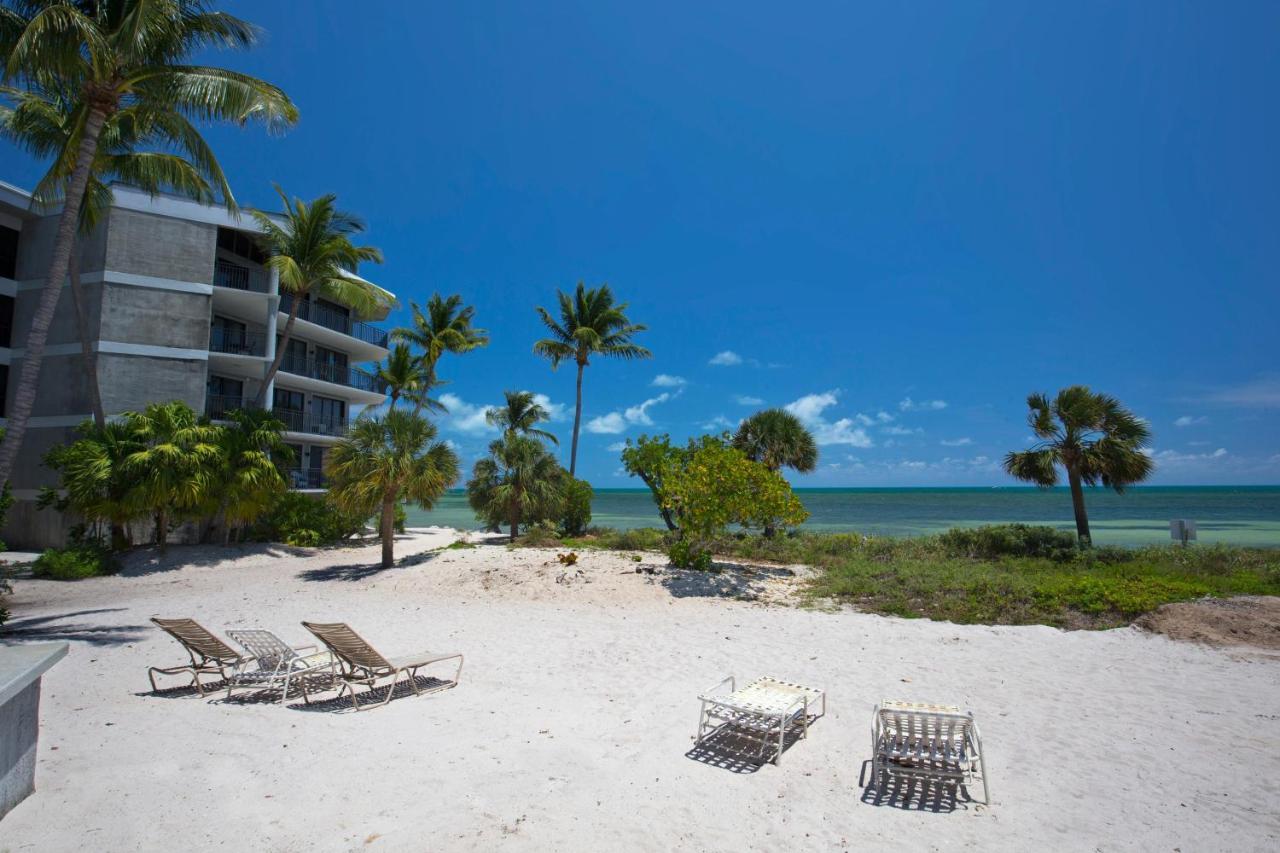 Apartment Beautifully Renovated Summer Of 2020 And Enjoy Lovely Unit Key West
