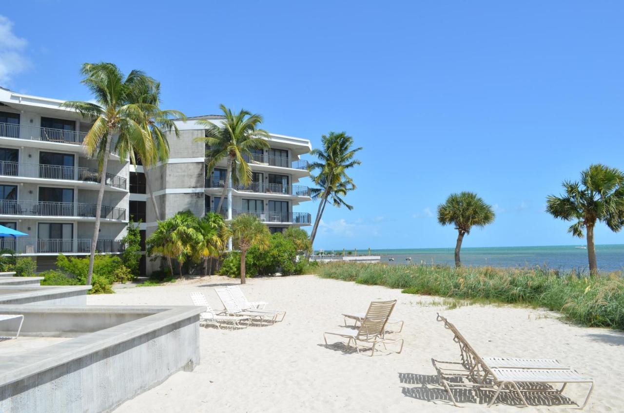 Moonlight Paradise Apartment