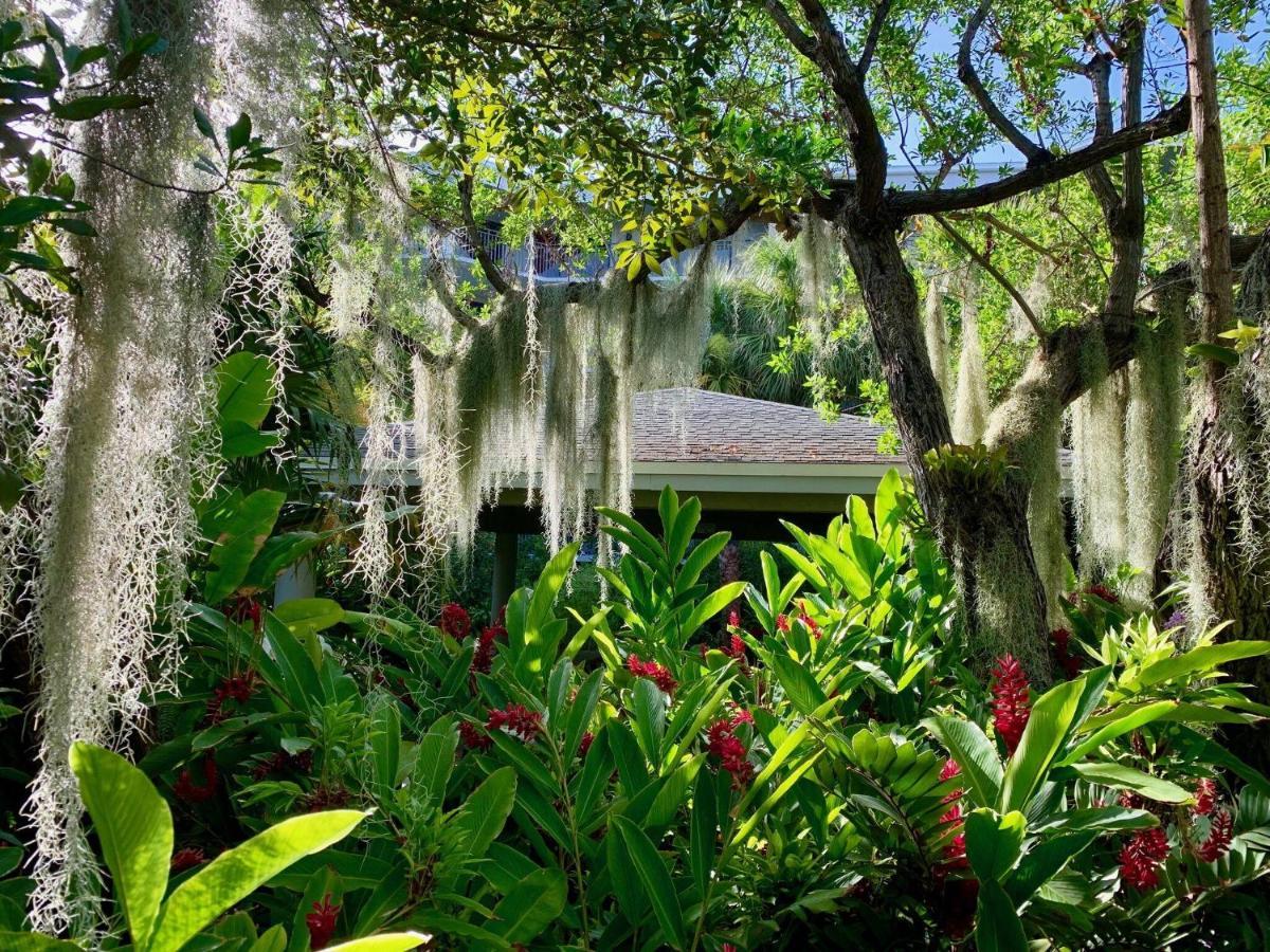 Apartment Tropical Paradise Key West