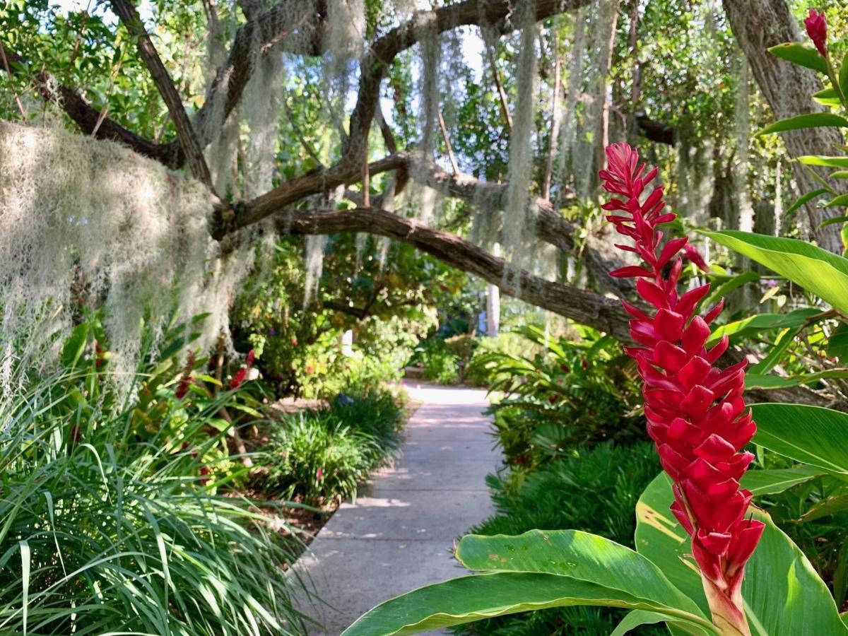 Tropical Paradise