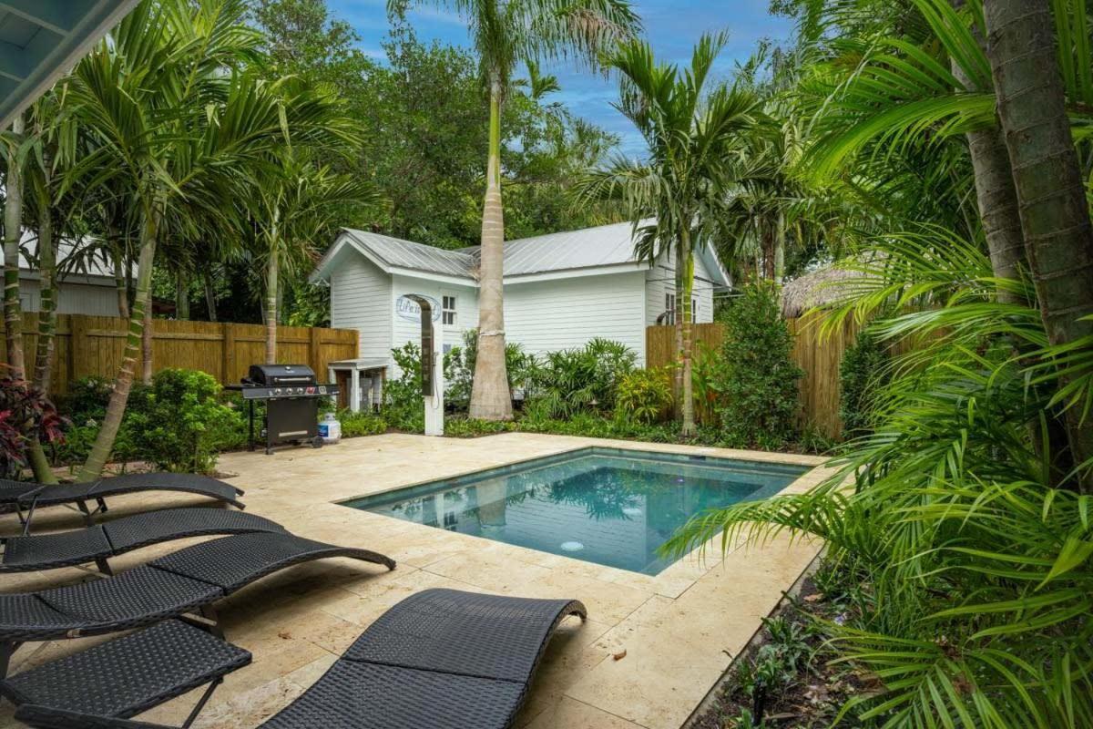 Coconut Palm
