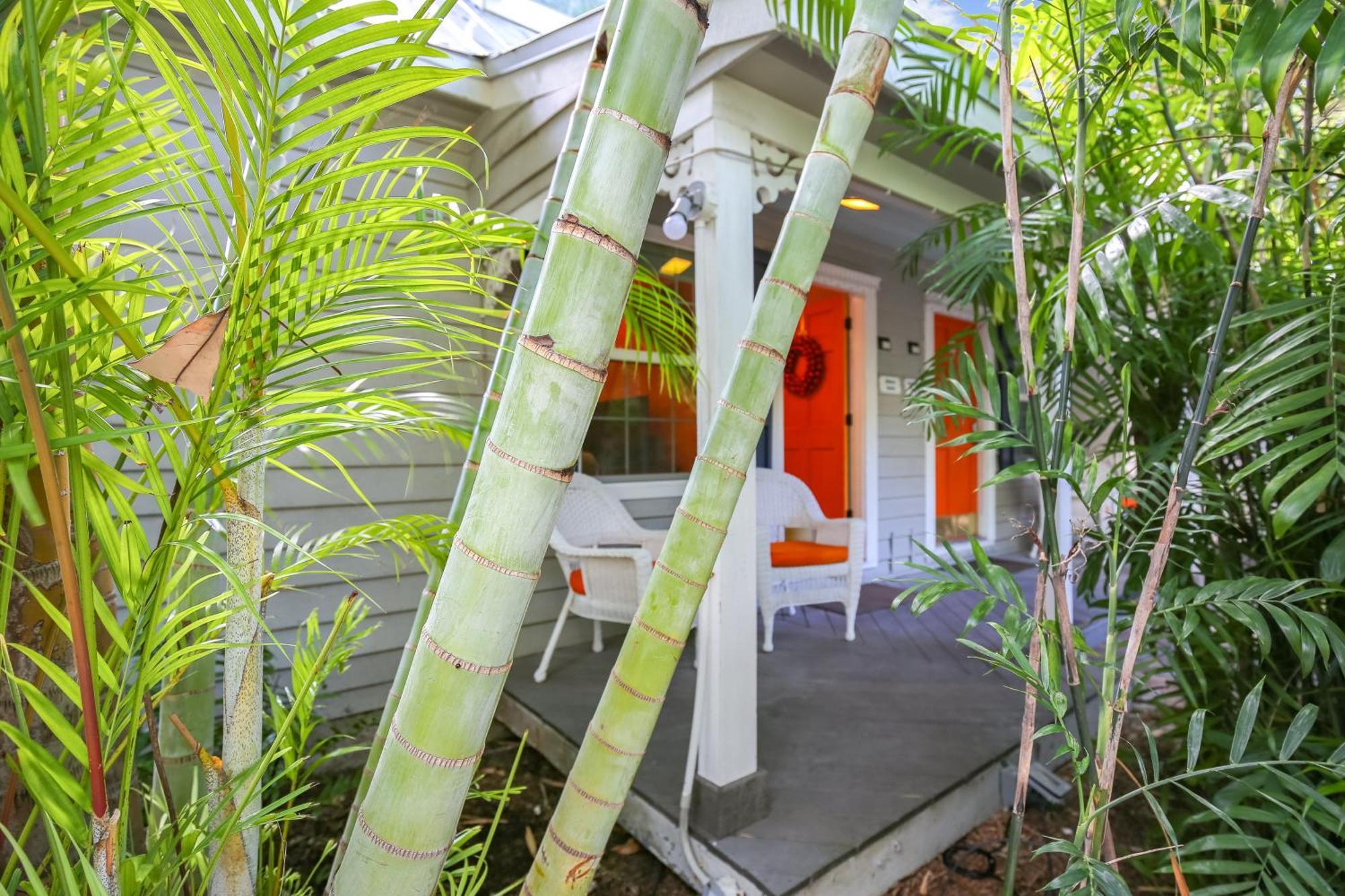 Old Town Garden - Abaco Apartment *