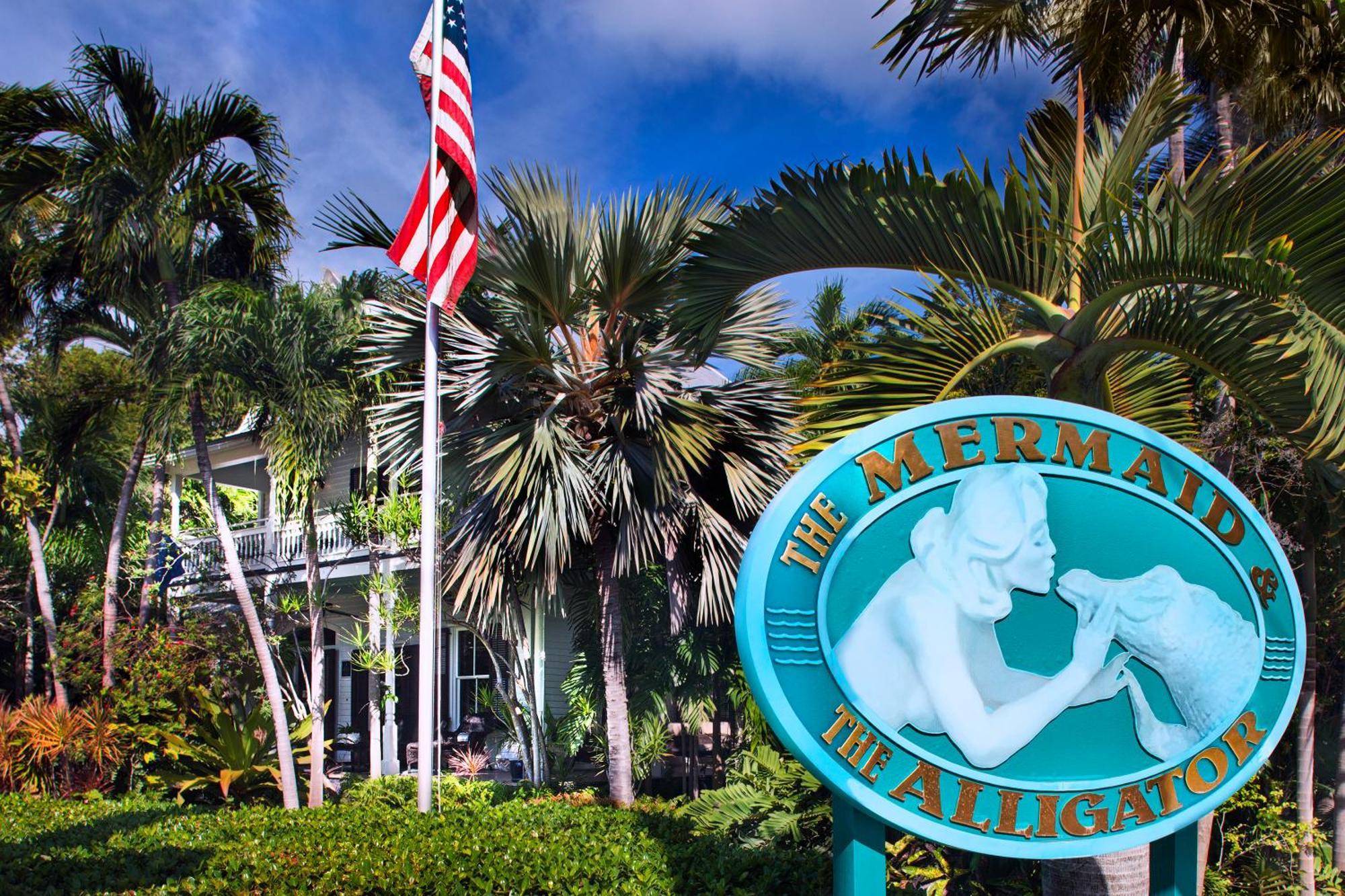 The Mermaid & The Alligator 3*