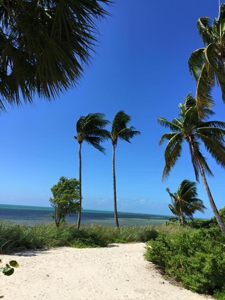 Tropical Paradise Apartment Key West