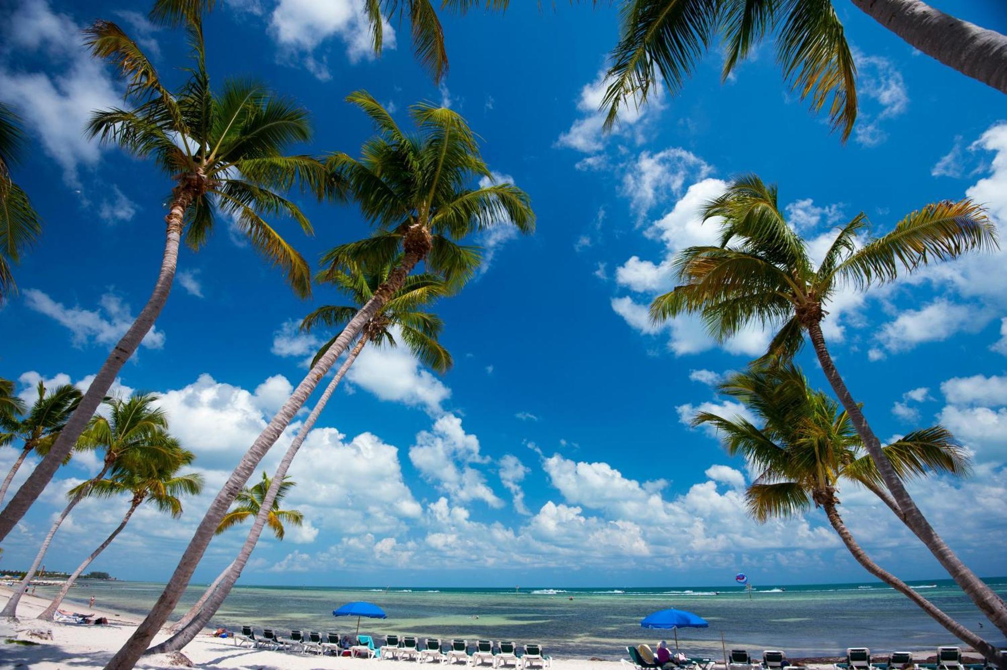 Tropical Paradise * Key West