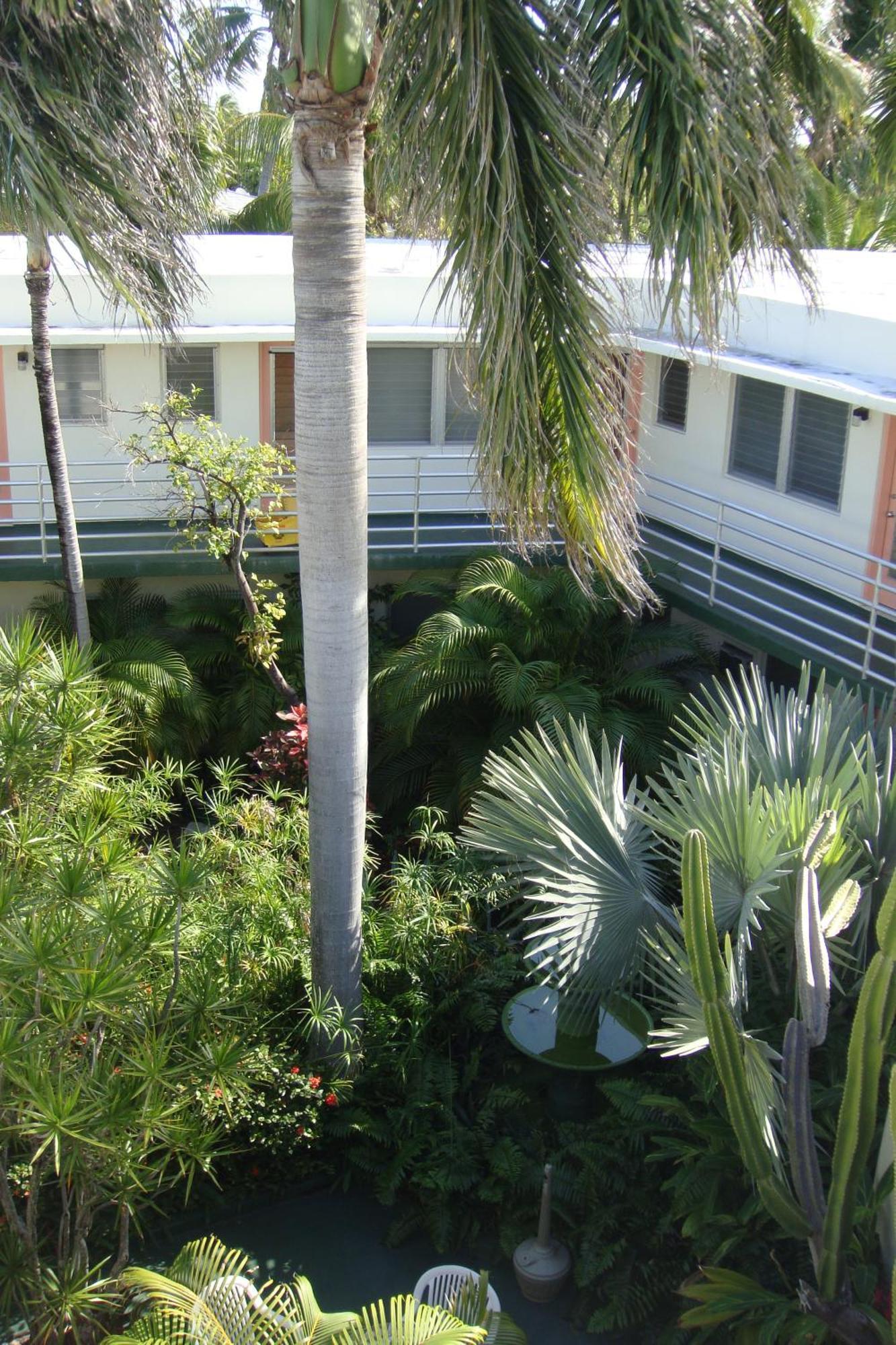 Motel El Patio 2*