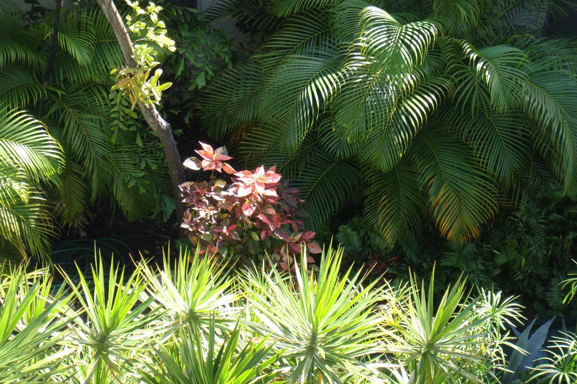 El Patio