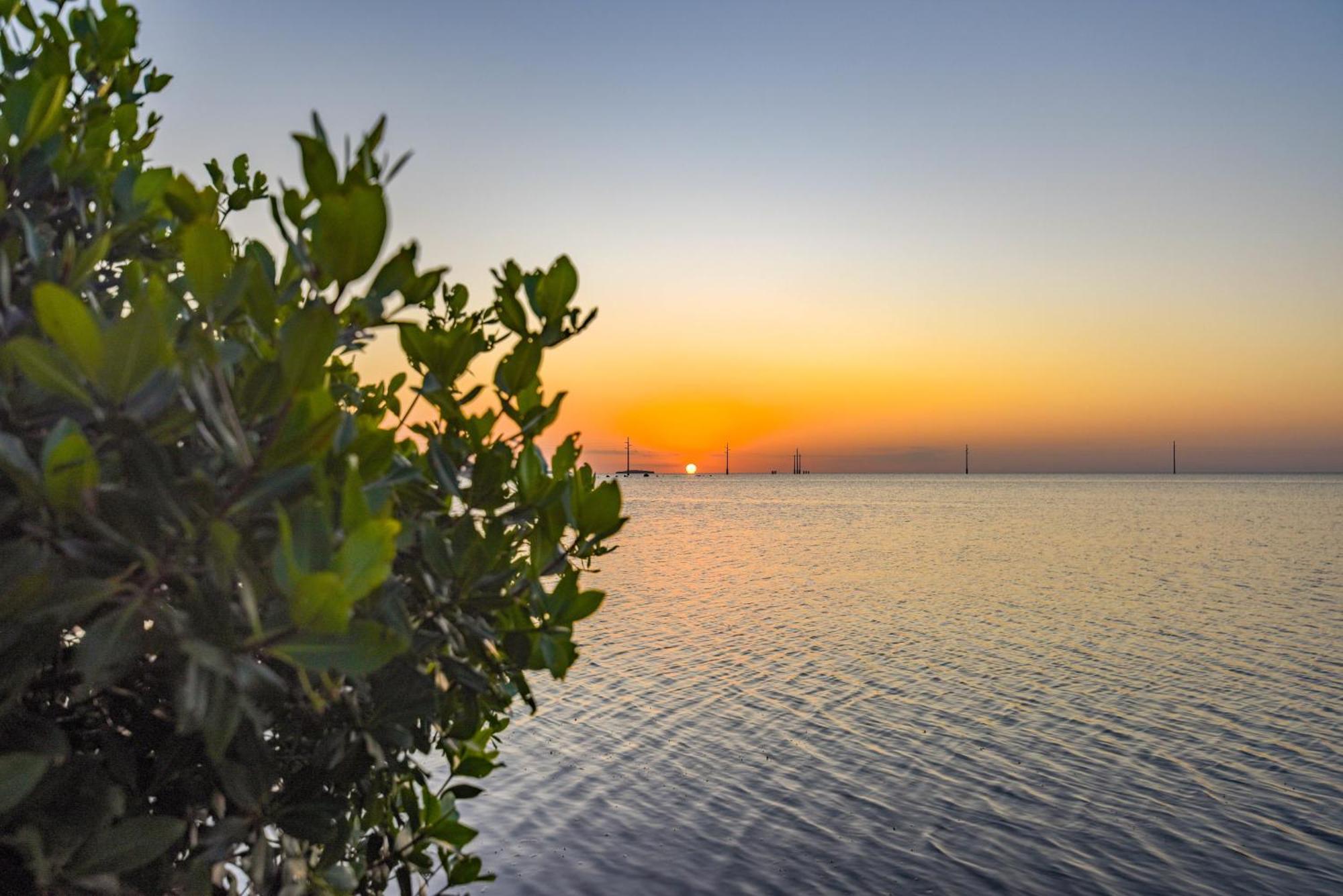 Haven House By Brightwild - Luxury Waterfront Key West