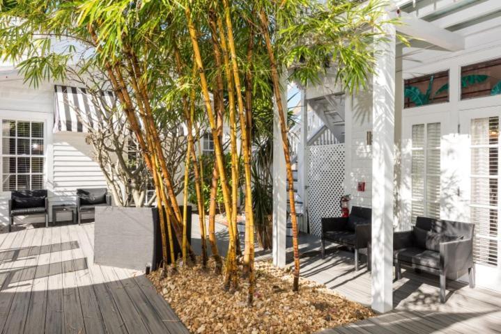 Bed & Breakfast Alexander's Gay Lesbian (adults Only) Key West