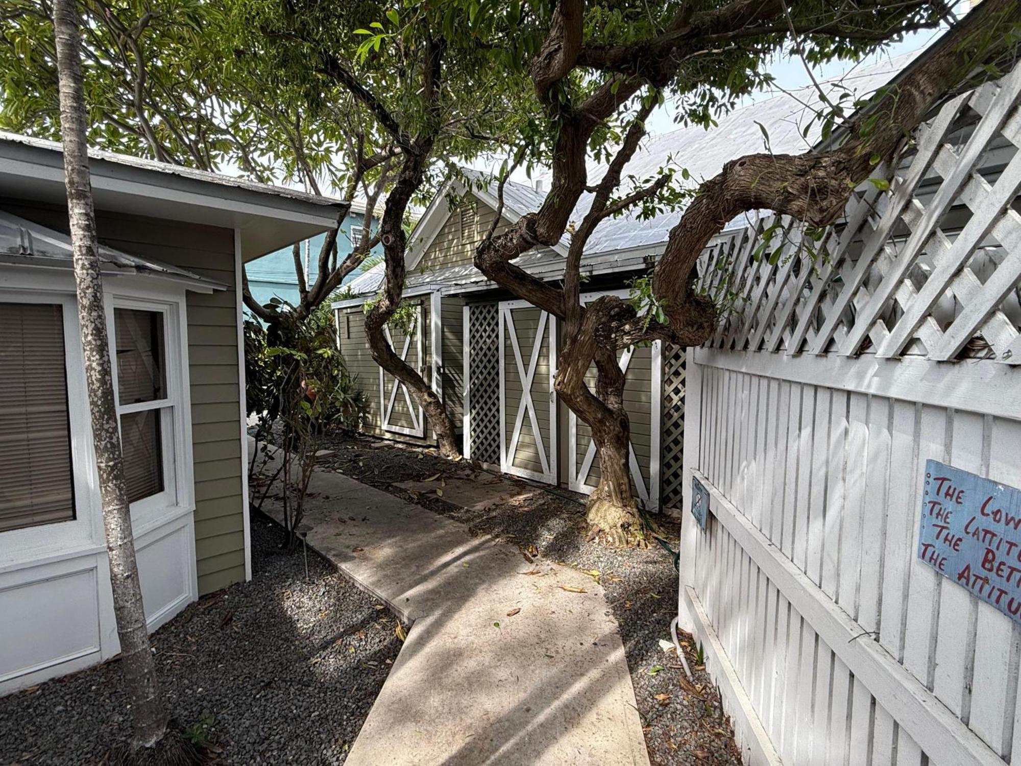 Pelican - Southernmost Sanctuary