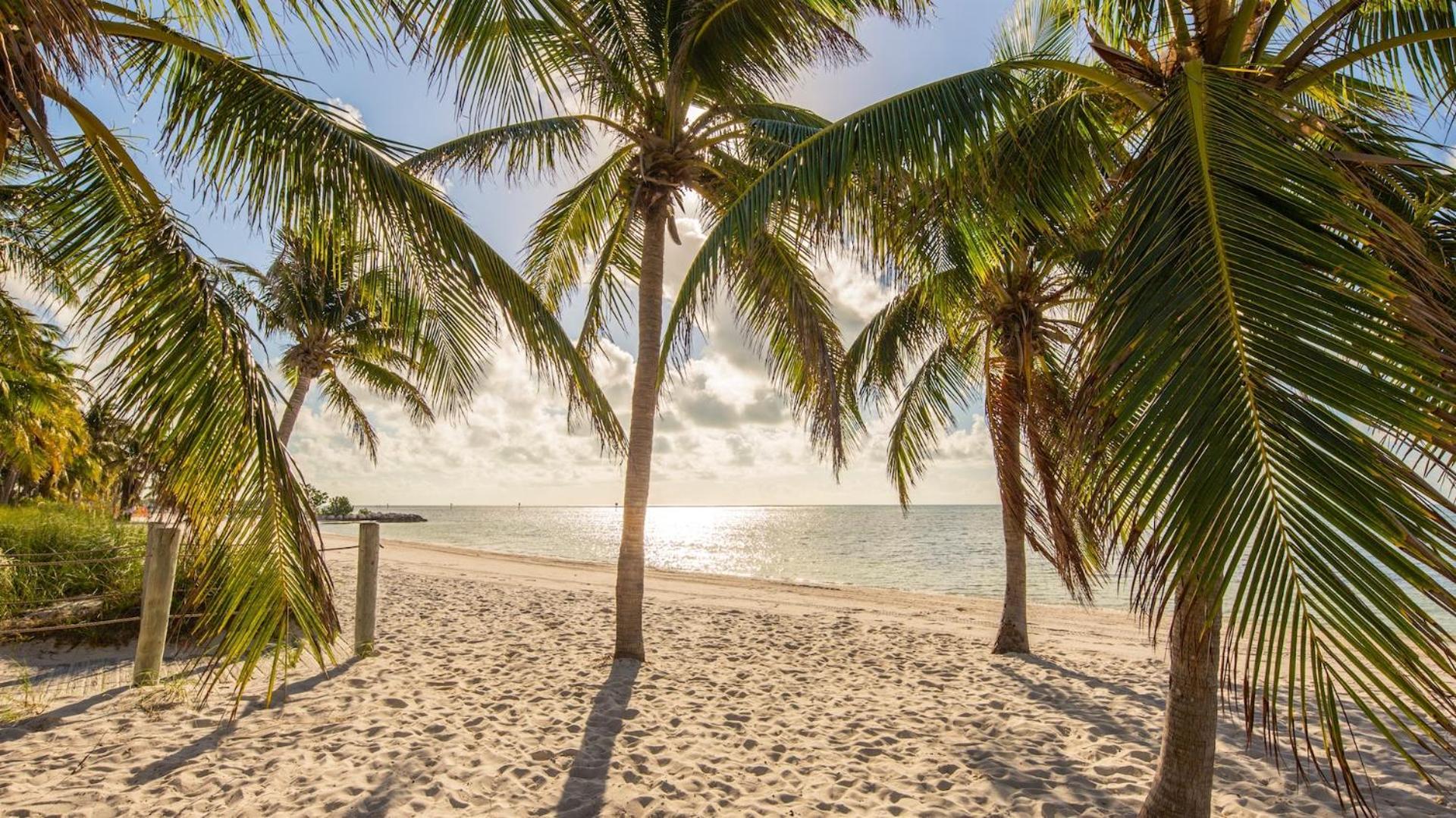 Windswept Palms By Last Key Realty Apartment Key West