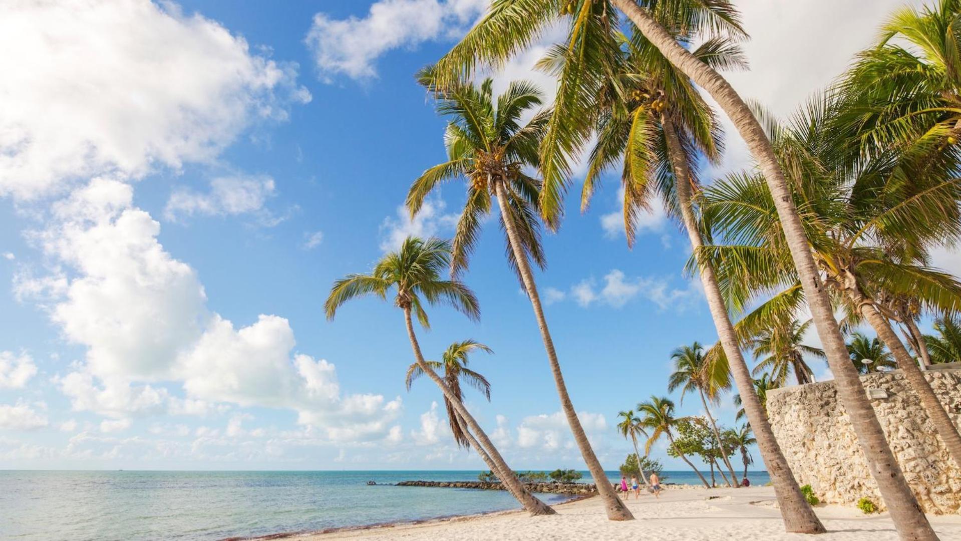 Driftwood Dreams By Last Key Realty Holiday home *