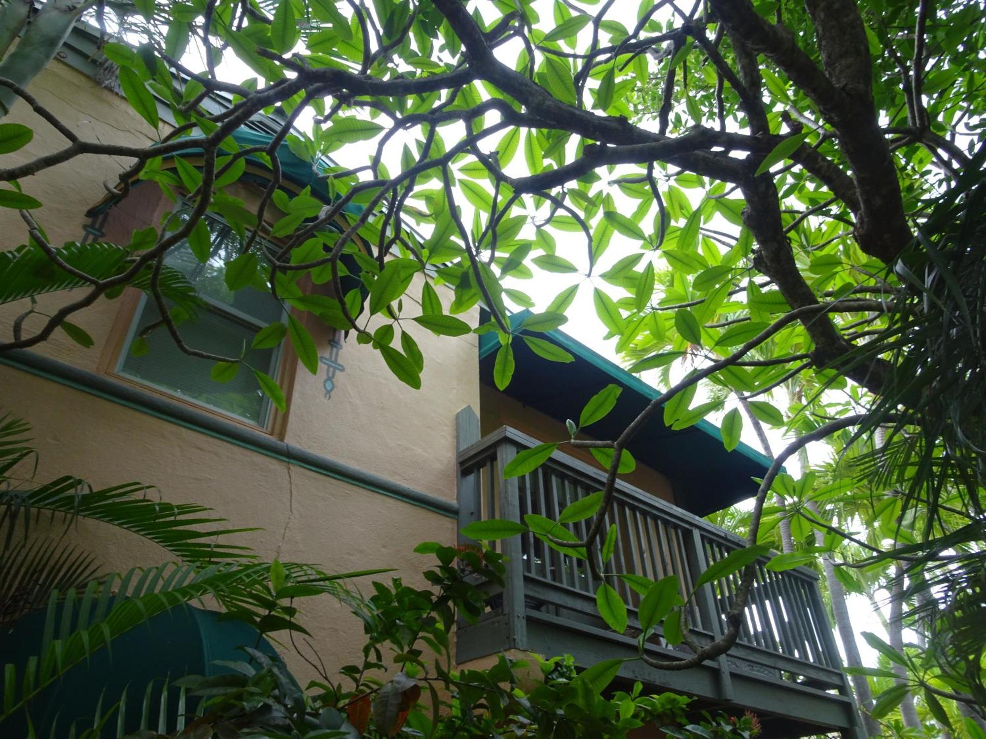 Dreams By The Bed & Breakfast