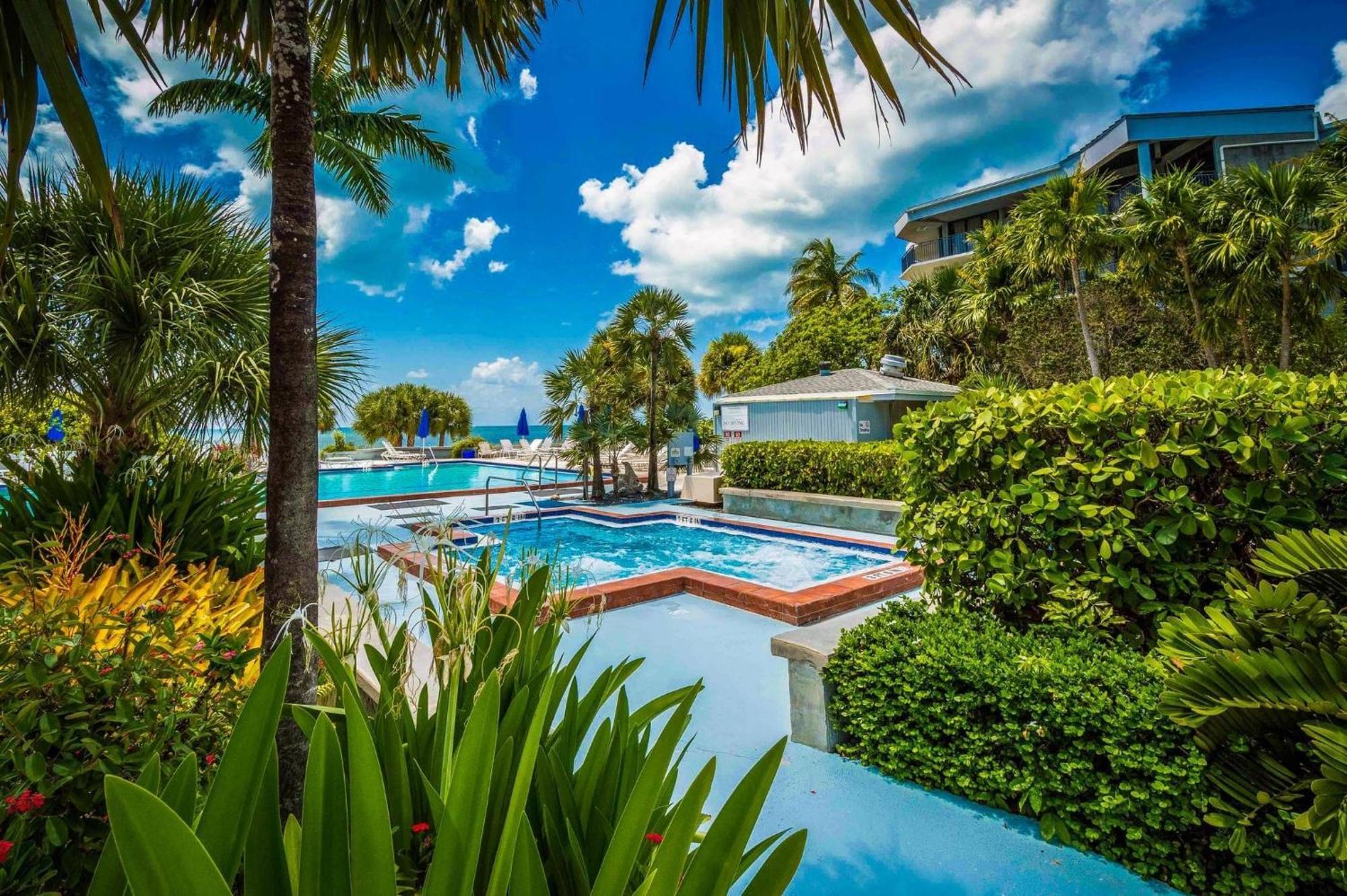 Papaya Place By Avantstay Great Location W Balcony Outdoor Dining Shared Pool Hot Tub