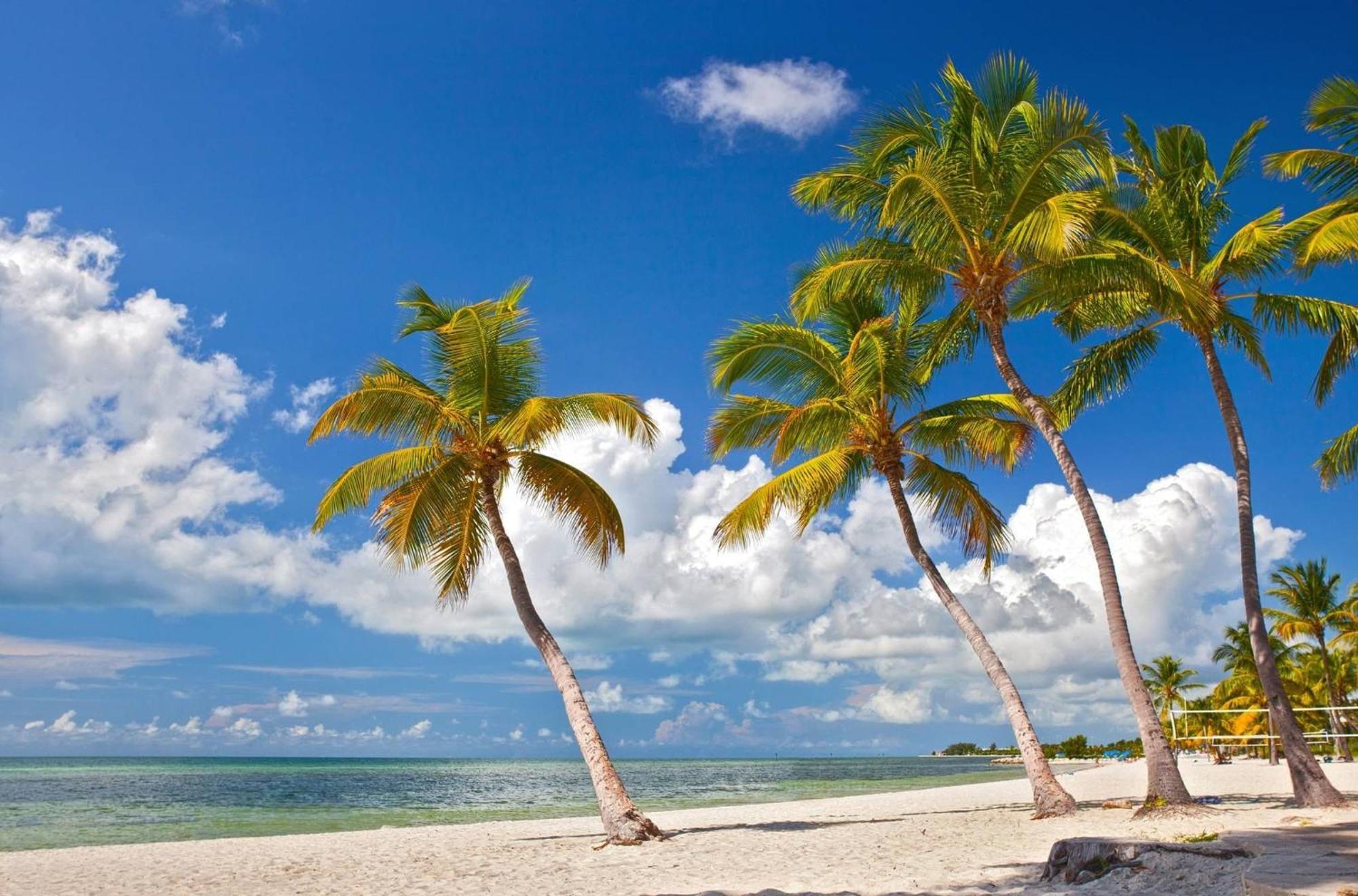Holiday home Lavender Jungle By Avantstay Great Location W Patio Shared Pool Week Long Only