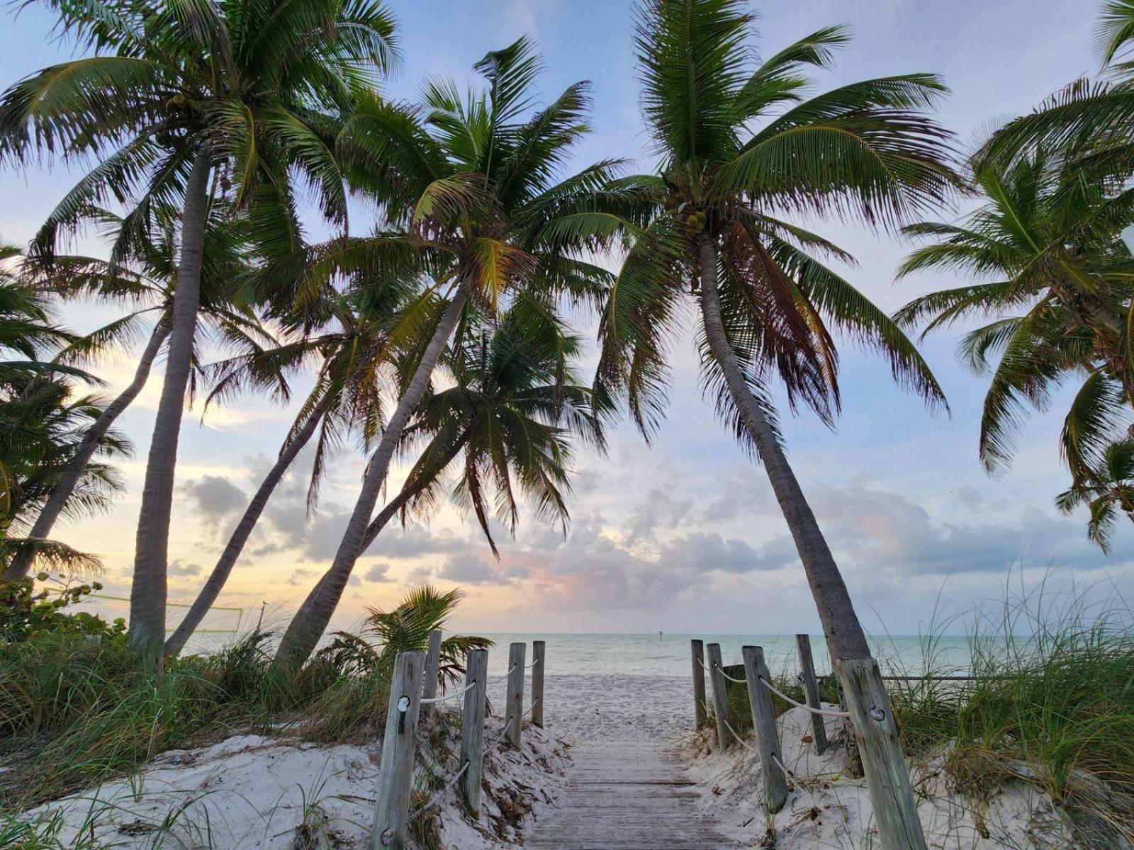 Tropical Paradise Key West