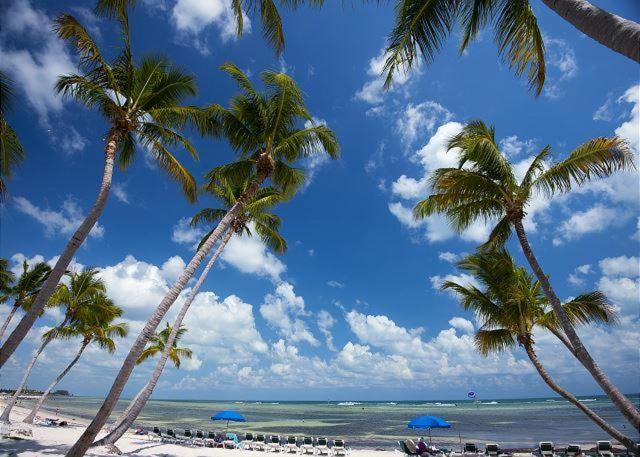 Atlantic Paradise Found *