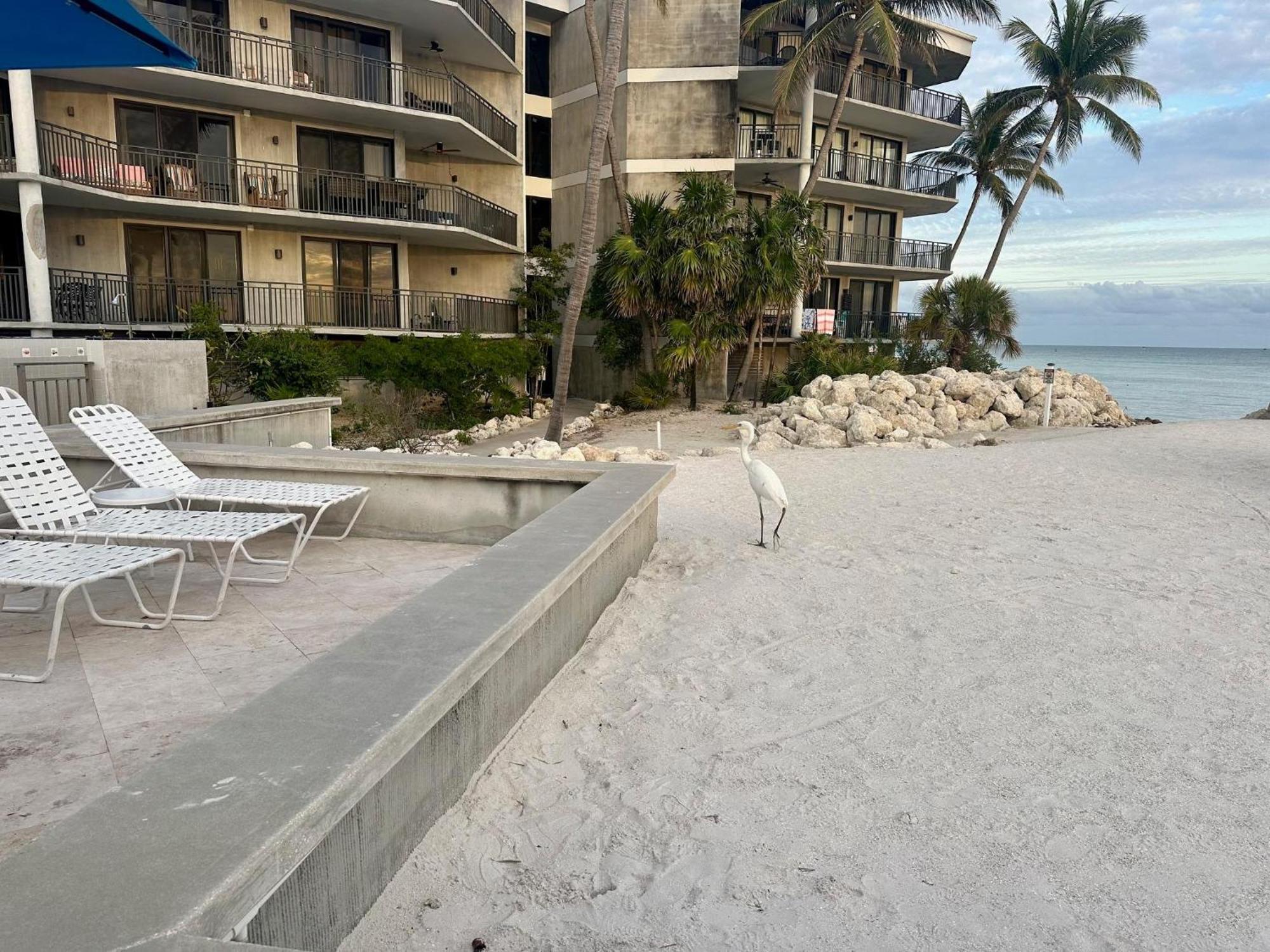 Holiday home -atlantic Sunrise Penthouse Key West