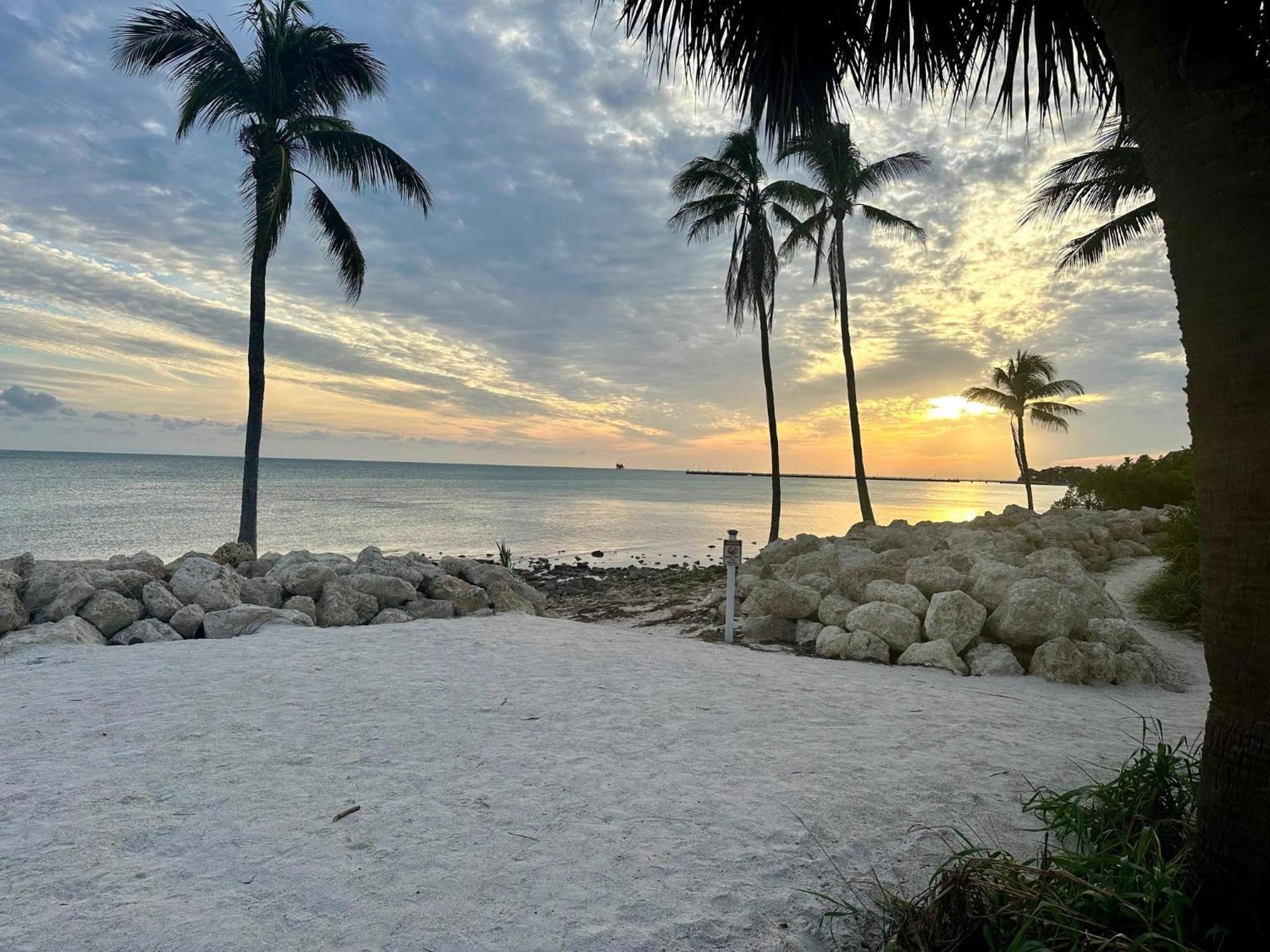 Tropical Paradise