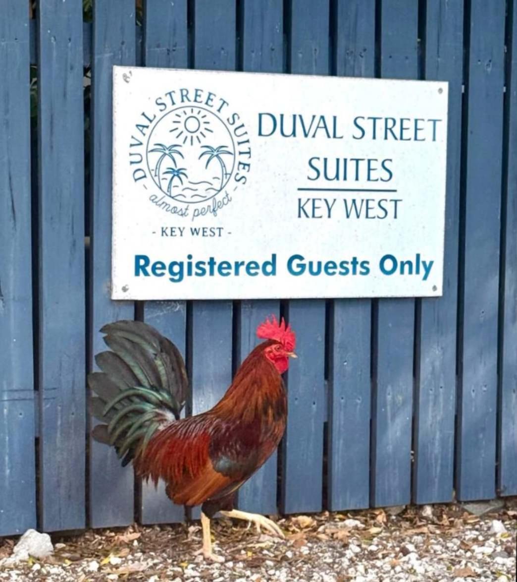 6 Bedroom 6 Bath On Duval Street Holiday home Key West