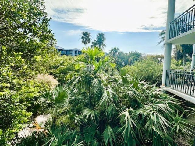 Apartment Tropical Paradise *