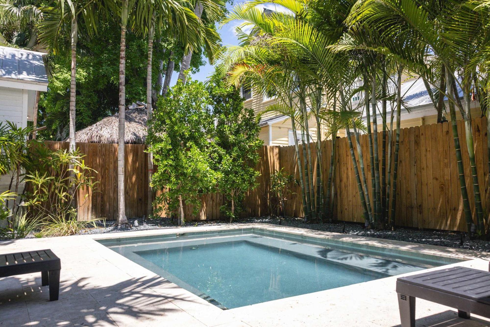 Coconut Palm Holiday home *