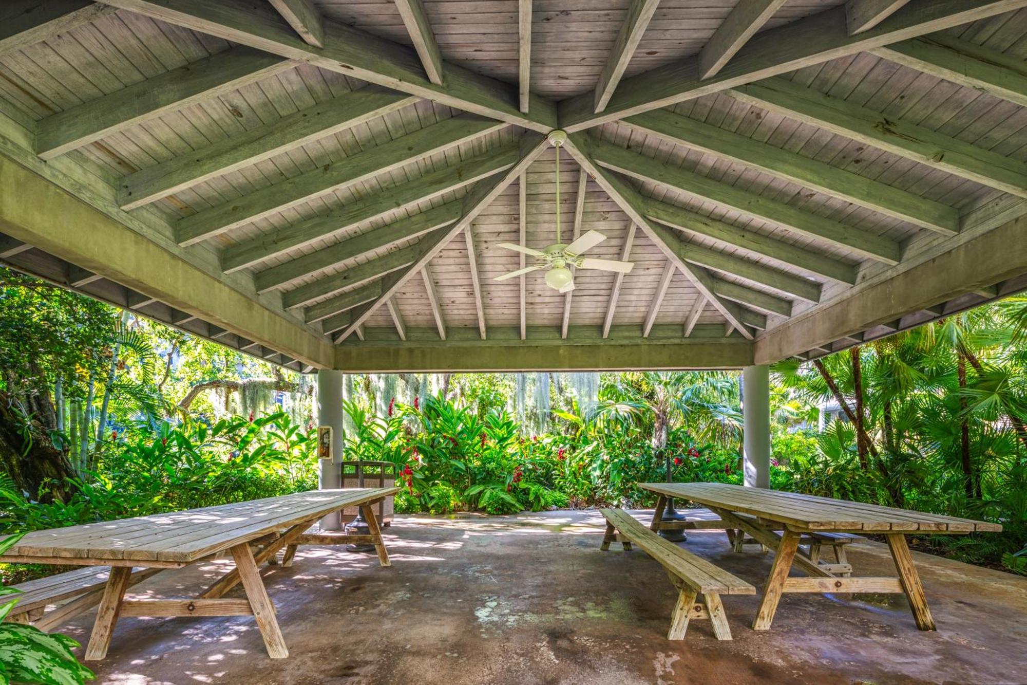 Atlantic Parrot Key West