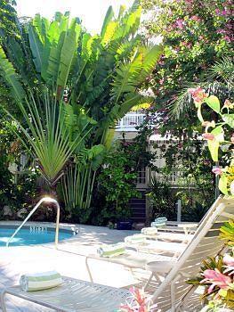 The Banyan *