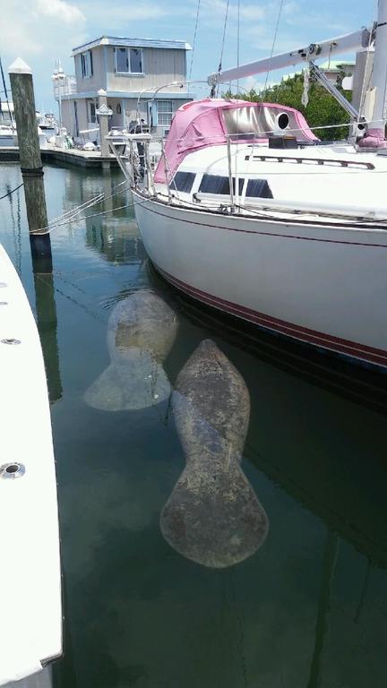 Aqualodge Botel 3*